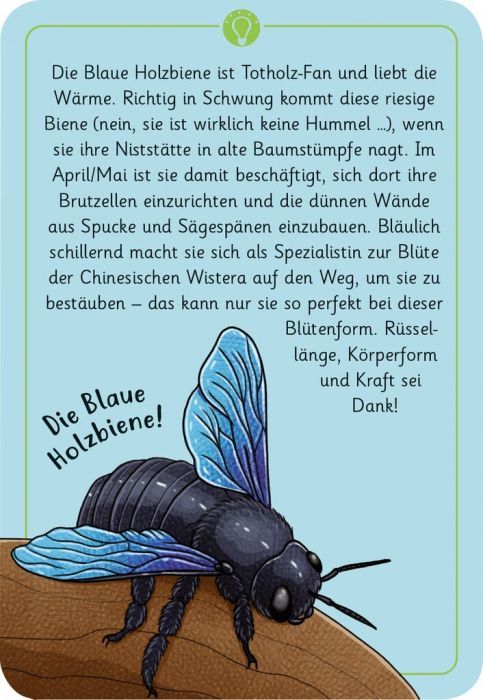 Expedition Natur " 50 wundersame Insekten" - Moses - Verlag
